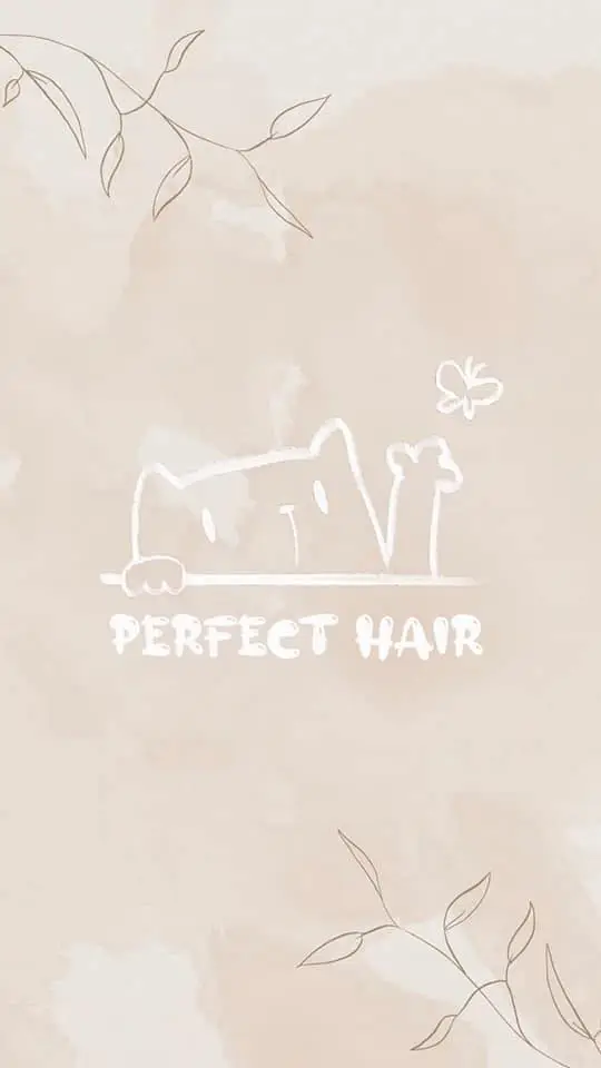 波妃 Perfect Hair Salon 4 用戶分享|美髮|perfect_hair_salon|波妃|logo